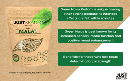 Green-Malay-Kratom-Capsules-Infographic